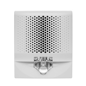 image of ed-eg4lfvwn