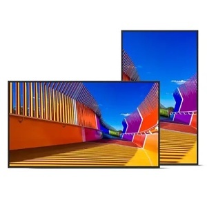 image of 1s-pne509;image of 1s-pne509