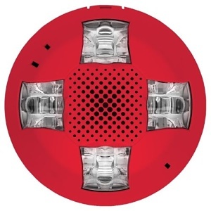 image of ed-egcsvhrn