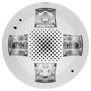 image of ed-egcsvhwn