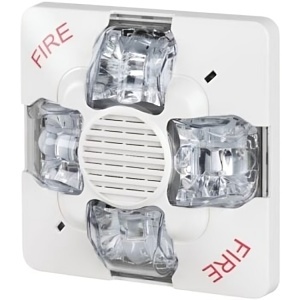 image of ed-ewgsvmwf