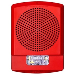 image of wh-elamtstr;image of wh-elamtstr;image of wh-elamtstr