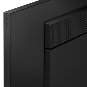 Sony Pro FW-43BZ35P 43" High Brightness 4K HDR Professional Display with Deep Black Non-Glare Standard and IP5X Dust Resistance, 500-nit