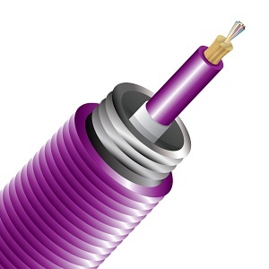 image of cc-12iad50125mom4p