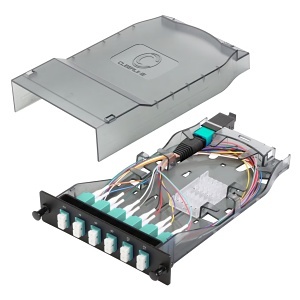 image of cc-ctgmtlc12mma