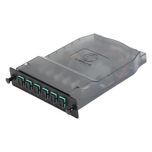 image of cc-ctgshdsc06mm