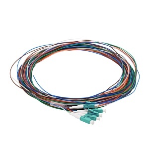 image of cc-ptlc06mm3m