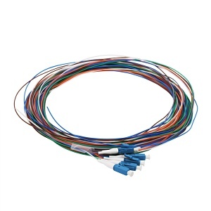 image of cc-ptlc06sm3m