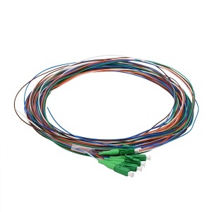 image of cc-ptlc06smapc3m