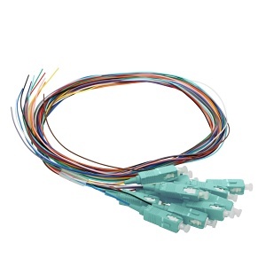 image of cc-ptsc06mm3m