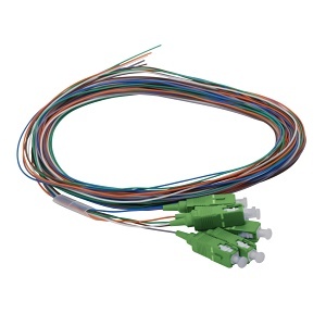 image of cc-ptsc06smapc3m
