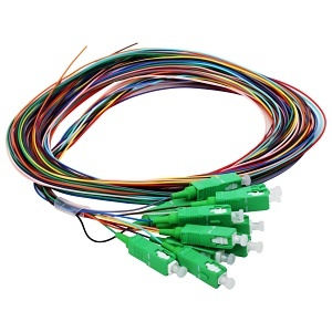 image of cc-ptsc12smapc3m
