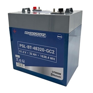 Image of PW-PSLB48320