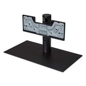 LG SA-G5SN55 OLED evo G6 and G5 TV Stand for 55" Class TV