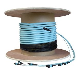 Lynn Electronics T12-LU1OAP2-LU1OAP2-4PTU-R175F Fiber Optic Trunk Cable, 12-Fiber, OM4, Multimode, MPO to MPO, 175'