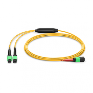 Lynn Electronics T6-LU1A2-LU1A2-SPITU-R1700F 6-Fiber Cable, Plenum, Indoor / Outdoor, Singlemode, 1700'