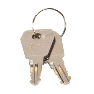 LiftMaster K107A0031 Key for KPW5 and KPW250 Keypad