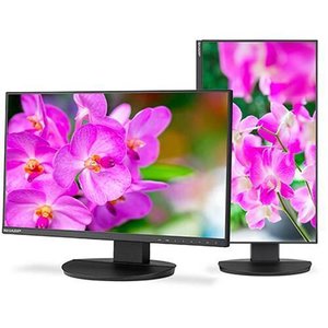 Sharp NEC DD-EA241F 24" FHD Advanced Business-Class Desktop Monitor