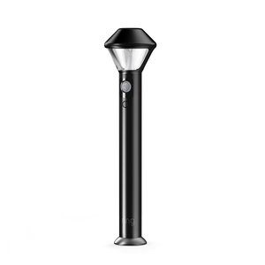 Ring Smart Lighting Pathlight, Black (B07YD6RNG5)