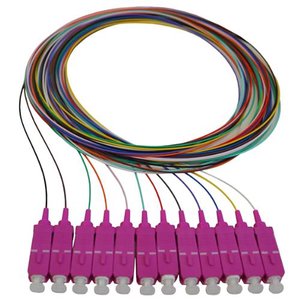 Belden FT4LC900PR12 FX Field-Termination Pigtail OM4 LC Simplex Tight-Buffer, 2m, Erika Violet