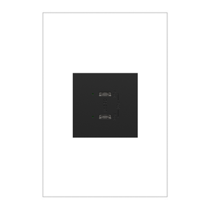 Pass and Seymour ARUSB30PDG4 6A 30W USB-PD Type C/C, Graphite