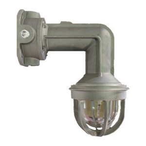 Potter LSEX-24WMR Wall Mounted Explosion Proof Strobe, Red Lens