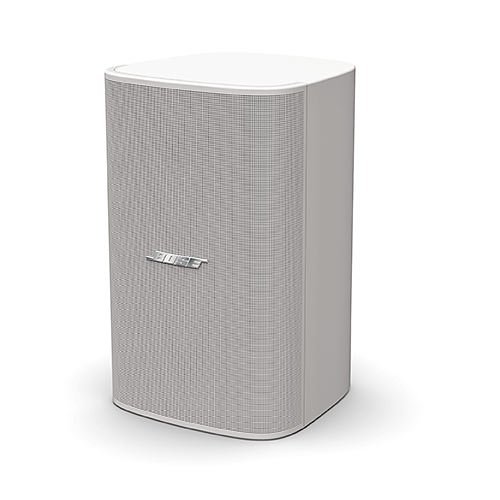 Bose Professional 801332-0210  DM8S DesignMax 2-Way Indoor Surface, Wall, Ceiling-Mountable Speaker, 50W RMS
