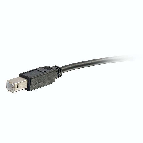 C2G CG28108 USB 2.0 One B Male to Two A Male Y-Cable, 6' (1.8m)