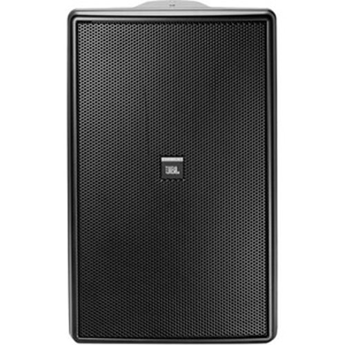 JBL Professional Control 31 Two-Way High-Output Indoor-Outdoor Monitor Speaker, Black