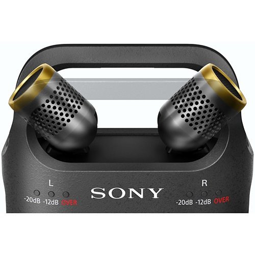 Sony Pro PCM-D10 High-Resolution Audio Digital Recorder with 3-Way Adjustable Microphone