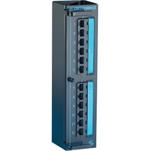 Ortronics Clarity 6 12-port Category 6 Mini Patch Panel - Hinged Mounting - 10 in x 2.5 in