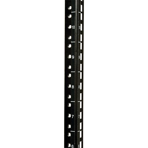 Tripp Lite SRW12USDP SmartRack UPS-Depth Wall Mount Small Rack Enclosure with Hinged Back, 24.5" (62cm), 200lb (90.7kg), 12U