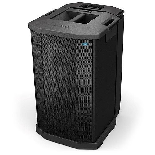 Bose Professional 731444-1110 F1 Compact Subwoofer, Two 10" High-Excursion Drivers, 1,000W