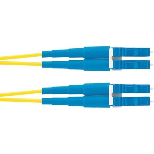 Image of P9-NSNSNM187