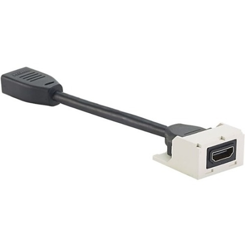 Image of P9-CMHDMITIW
