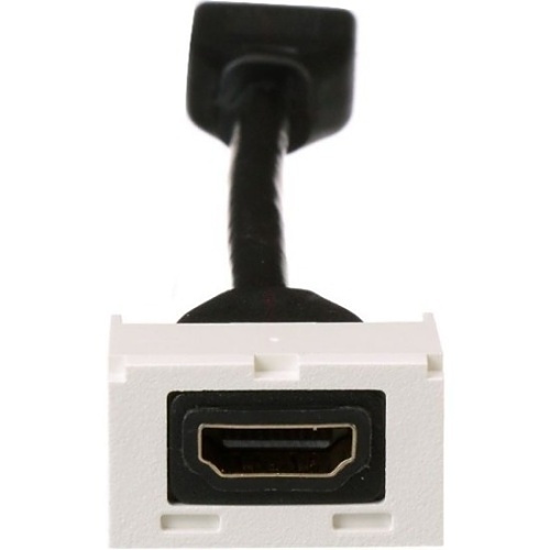 Image of P9-CMHDMITIW