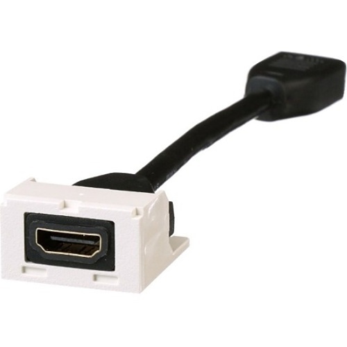 Image of P9-CMHDMITIW