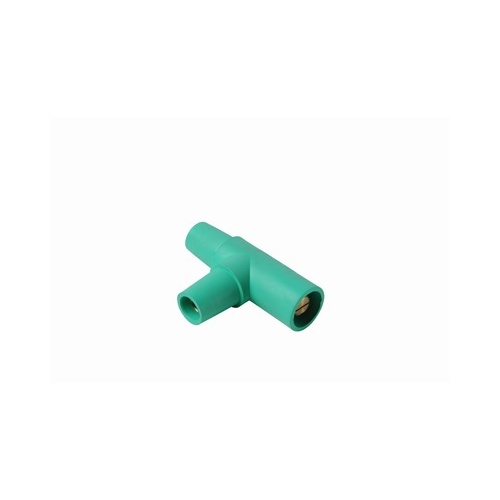 Image of H4-PSTTY