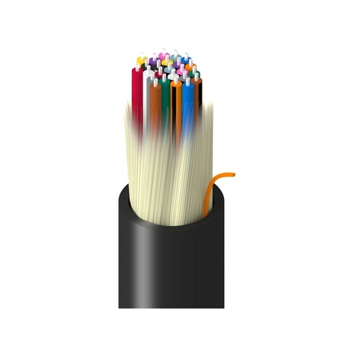 Image of 7B-1D924RN2N