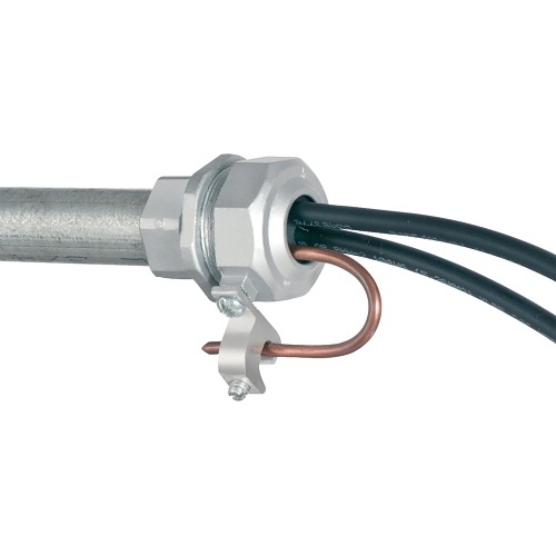 Image of 9N-LTPV821