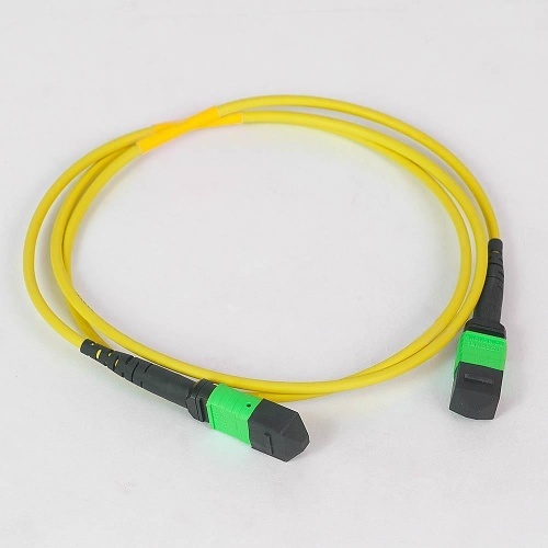 Image of H2-FOJARS05