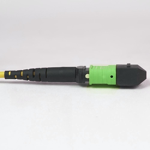 Image of H2-FOJARS05