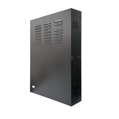 Image of V8-ERVWC2U36