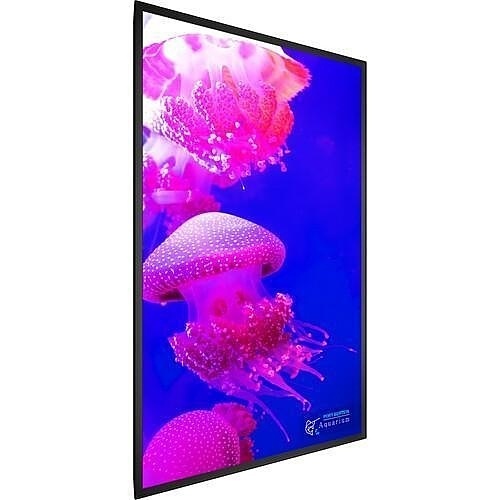 Image of 8Q-998317000