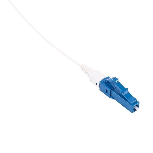 Image of G0-SFLCUSM