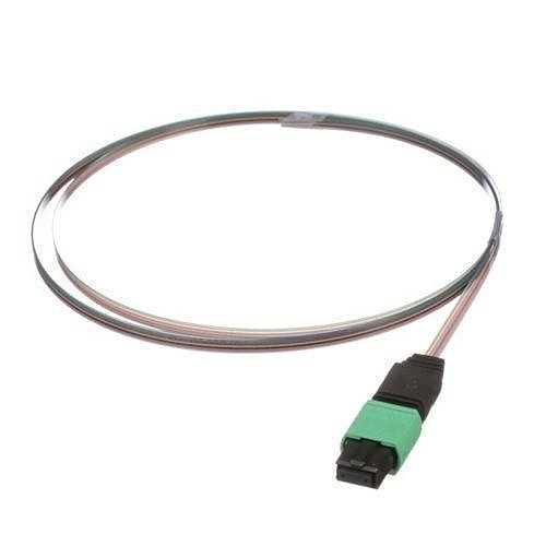 Image of P9-NNNONMN12