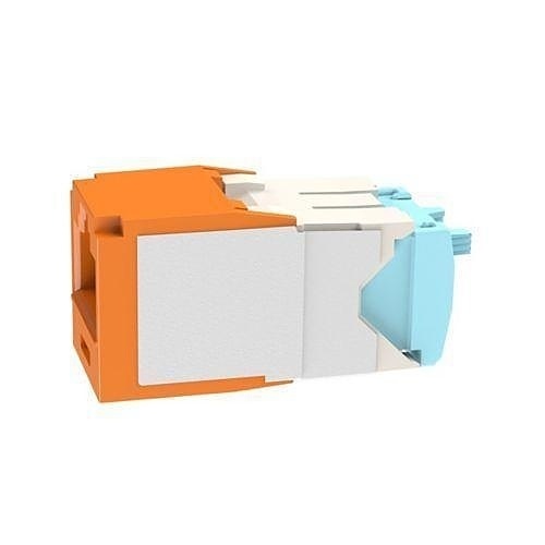 Image of P9-T6X88TGOR