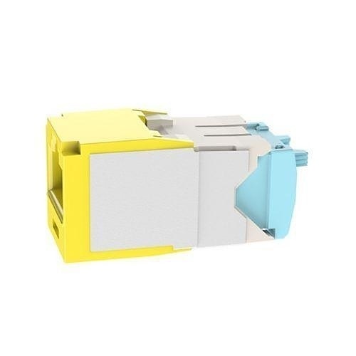 Image of P9-T6X88TGYL