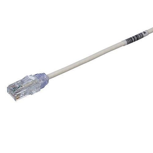 Image of P9-TP28SP10M