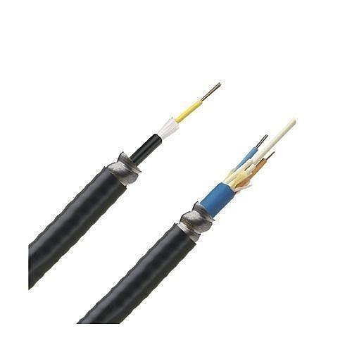 Image of P9-FOGRZ12Y